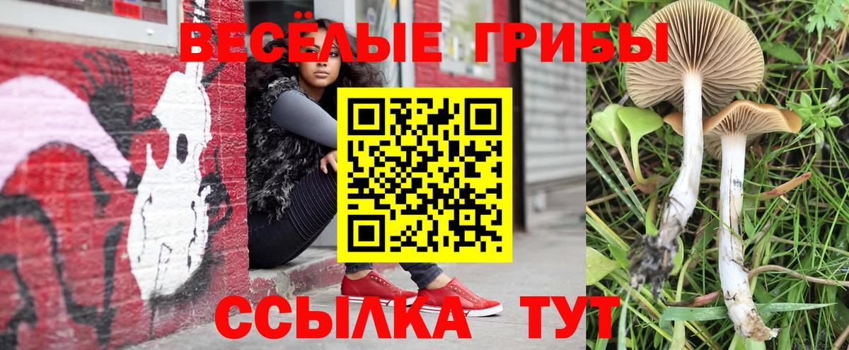Белебей  Галлюциногенные грибы MAGIC MUSHROOMS  Галлюциногенные грибы мицелий  Вход с VPN 